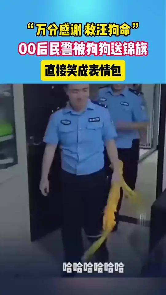 00后民警被狗狗送锦旗 直接笑成表情包