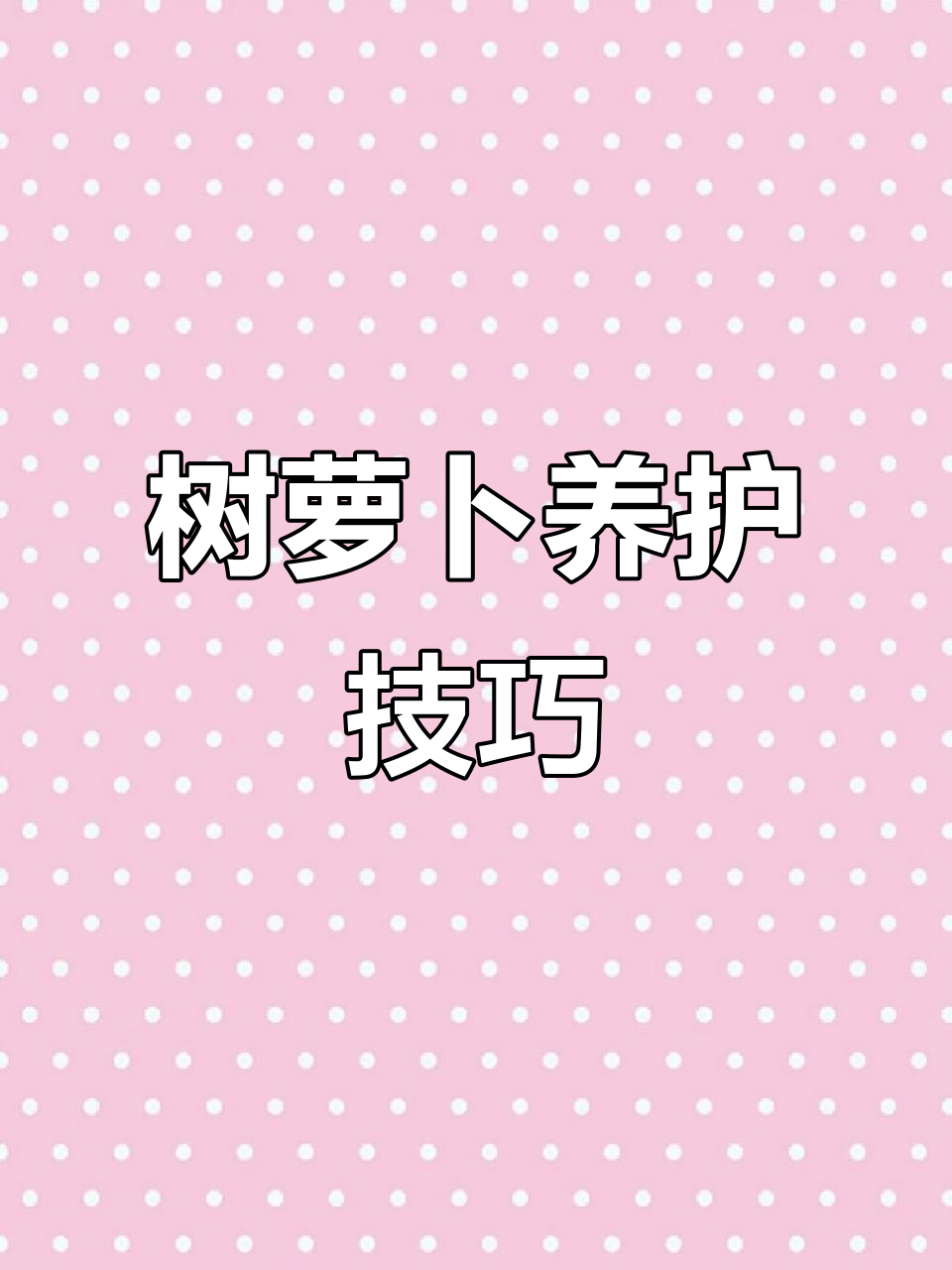 长得像屁股的树萝卜，竟然这么容易养！