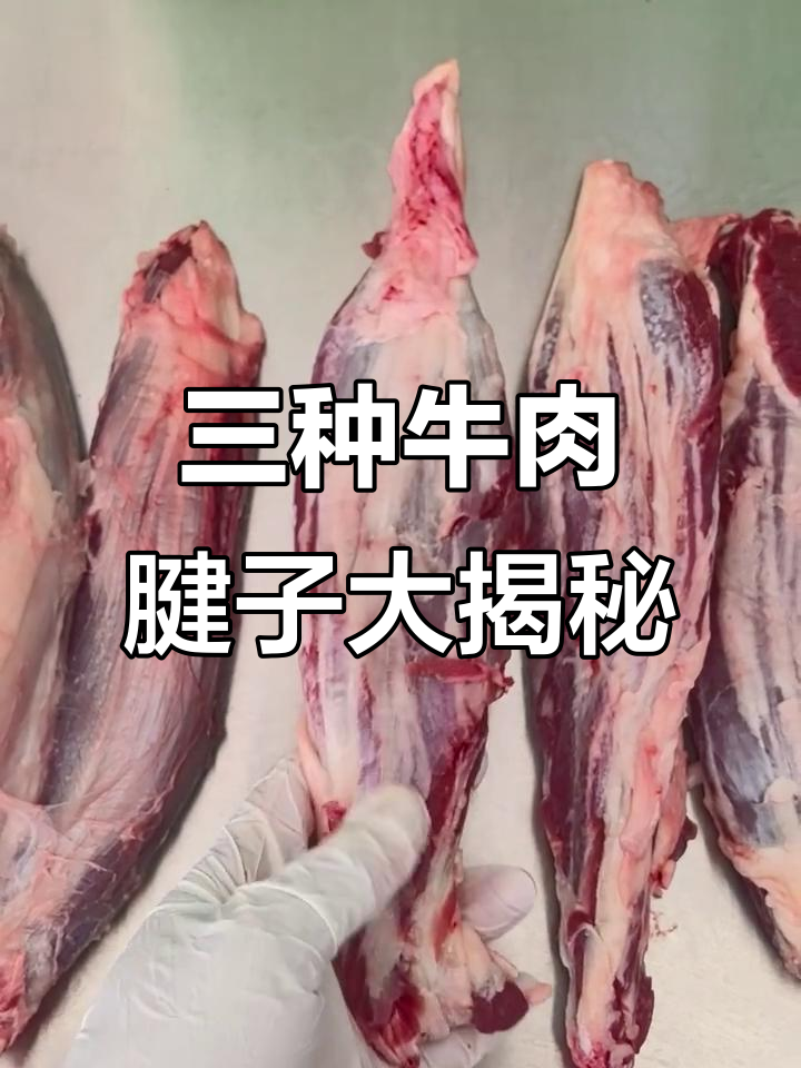金钱腱、三花趾与五花趾的详细区别,了解牛蹄筋的美味秘密