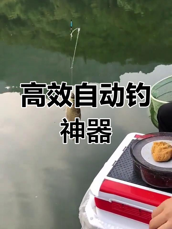 自动钓鱼神器,灵敏度高到让你秒抓大鱼
