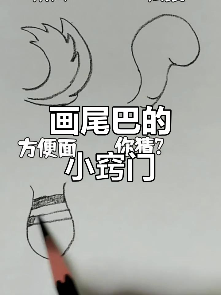 素描尾巴小技巧,轻松画出栩栩如生的动物形象