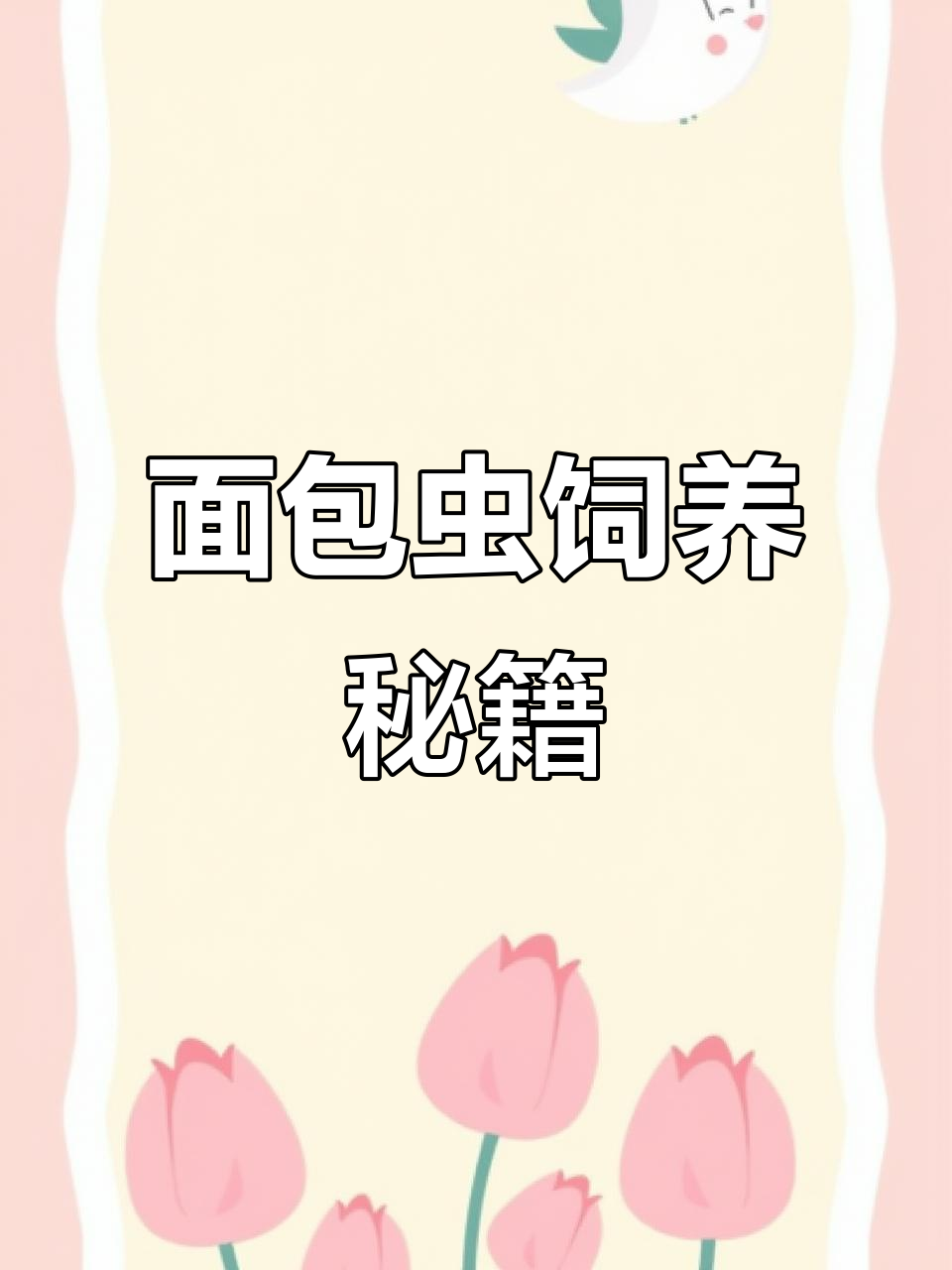 面包虫饲养全攻略,轻松解决爬宠喂养问题!