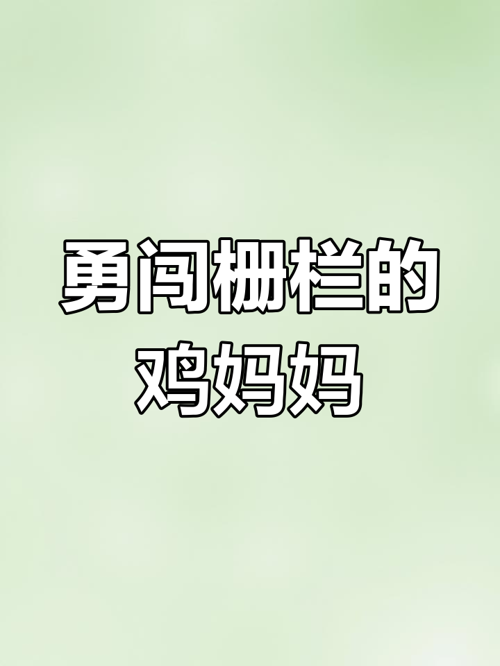 勇敢鸡妈妈保护小鸡,赶走小猫提醒宝贝们小心危险