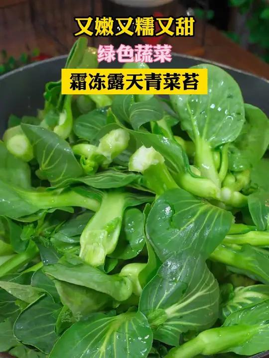 第一吃这个苏北菜苔,软软糯糯甜甜的,不爱吃青菜的小朋友都没办法拒绝了!苏北菜苔 生啃芹菜的