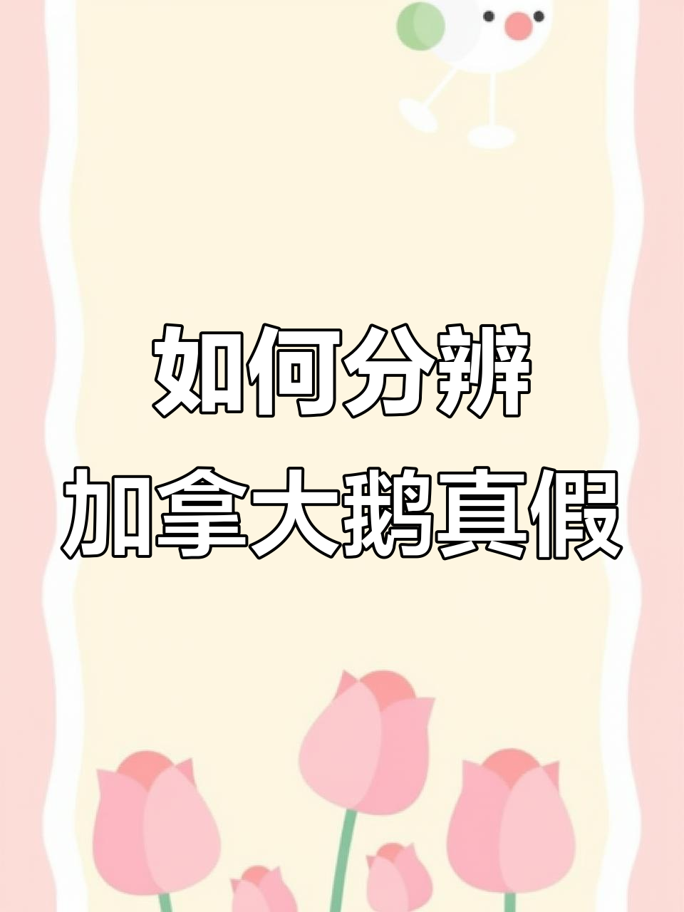 加拿大鹅真假鉴定技巧大揭秘，轻松辨别真伪