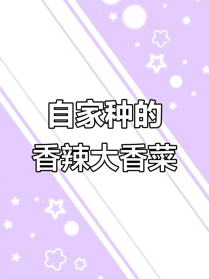 云南傣味大香菜,香气扑鼻又好种,四季都能享受美味
