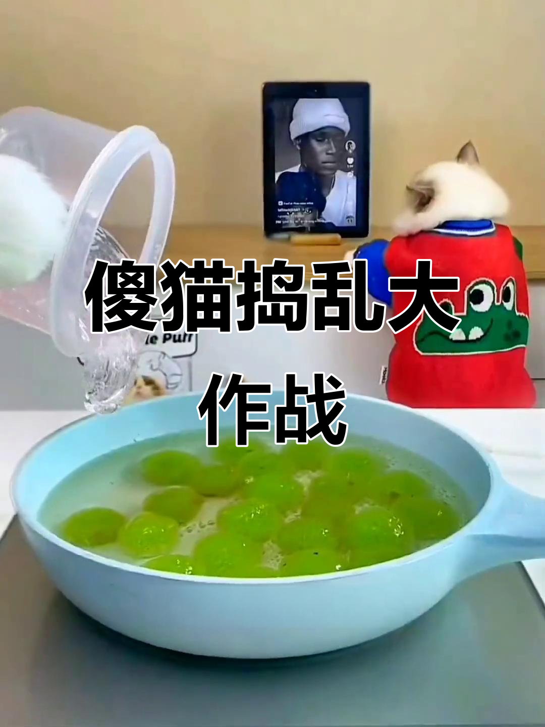 这只猫咪太调皮,偷吃巧克力还做蛋糕!学生党快来测你的天命宠物