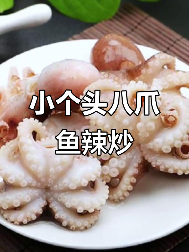 短腿八爪鱼,鲜冻小章鱼辣炒美味,Q弹有嚼劲