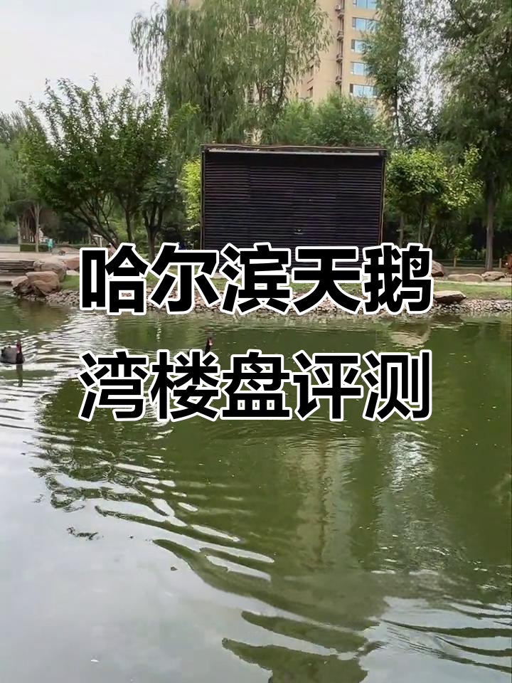 天鹅湾楼盘全方位测评:从价格到户型,完美与遗憾并存