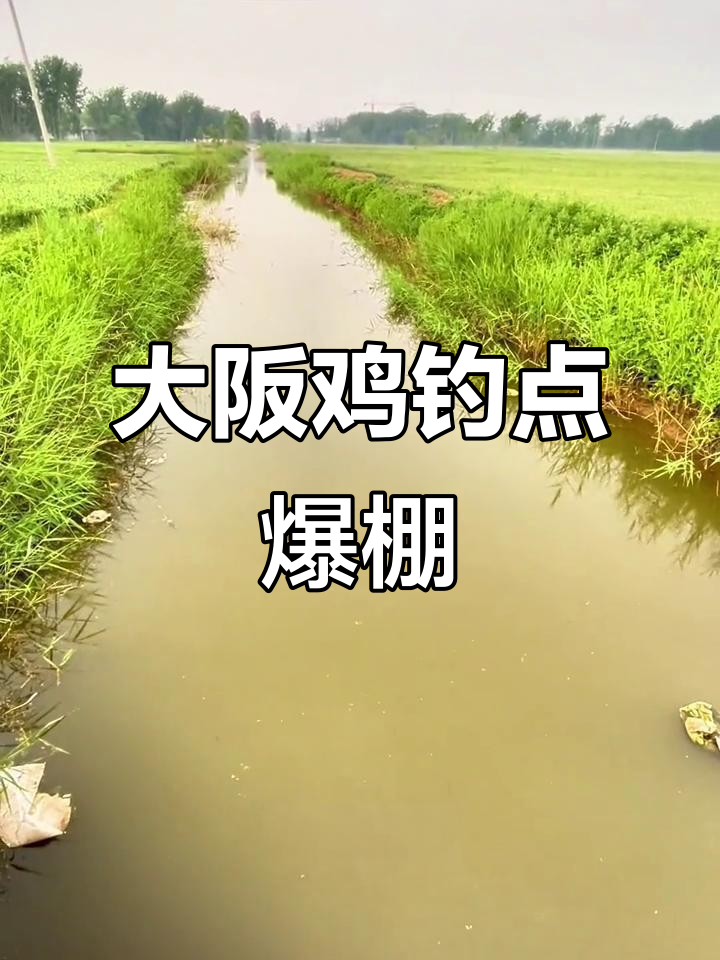 河沟暴躁,大板鱼接连上钩!
