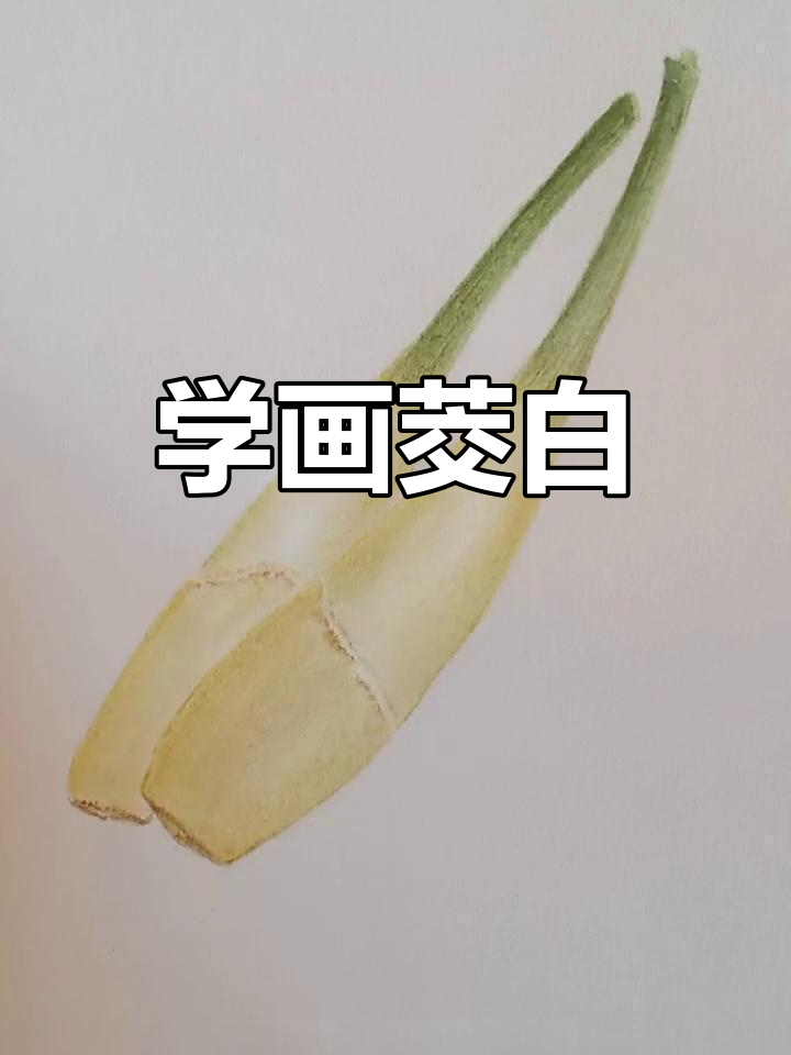 茭白的画法与历史,带你一起学水墨写意
