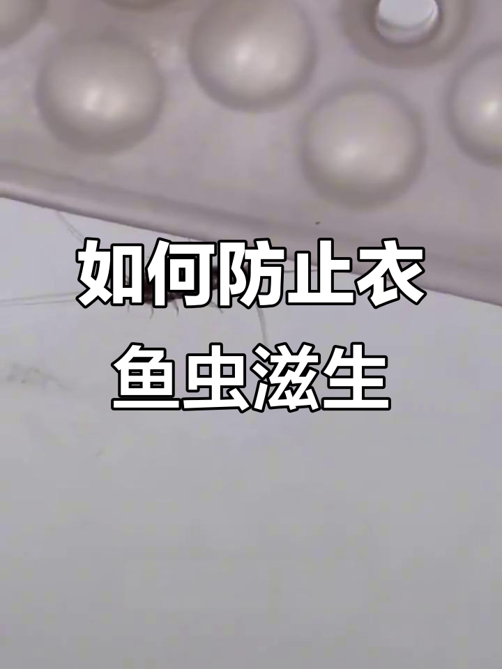 异鱼虫为何藏匿家中?如何避免皮肤过敏和耳朵问题