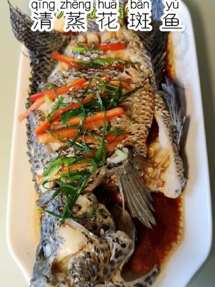清蒸花斑鱼,鲜嫩又下饭简单易操作