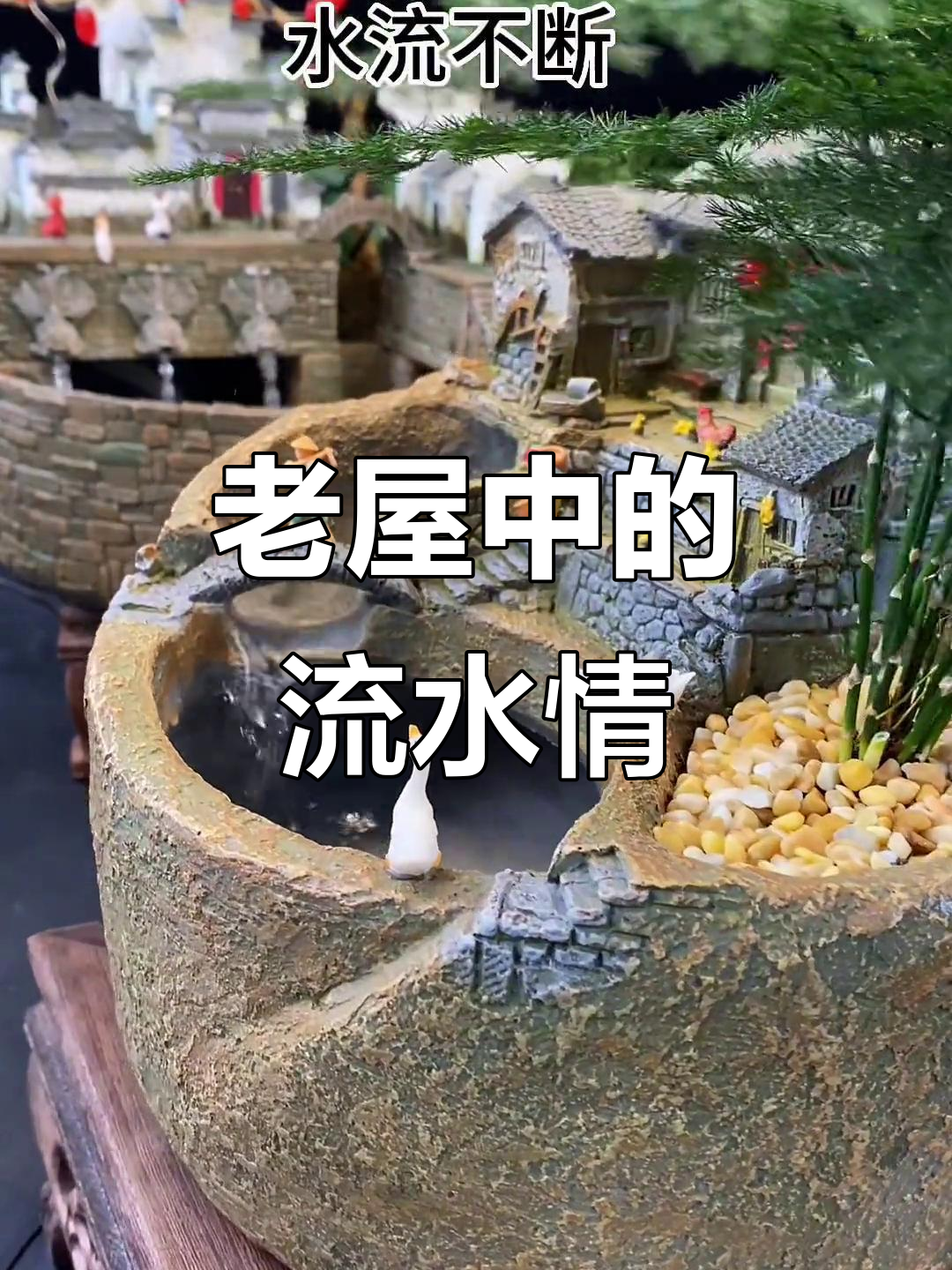 鱼缸与流水，盆景艺术交织出老房的温馨回忆