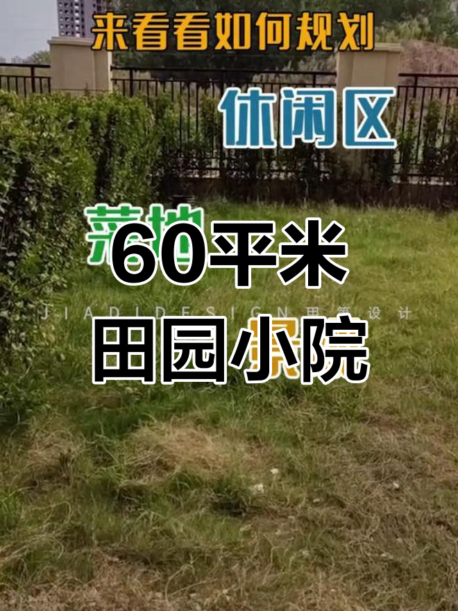 小院规划:聚会与菜园的完美结合