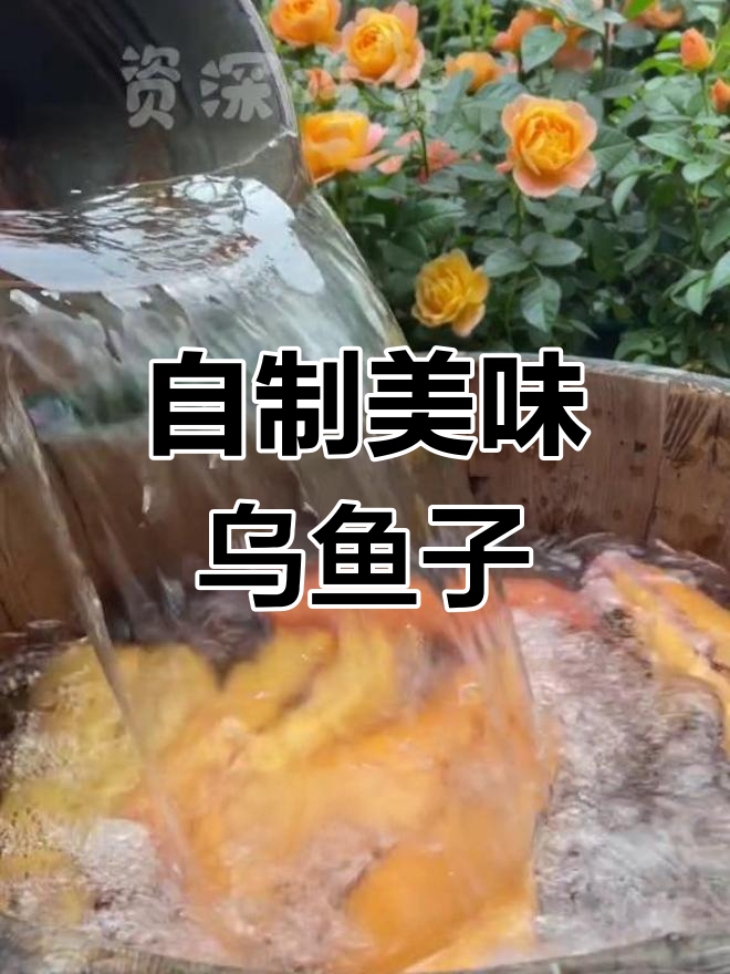 制作营养丰富的乌鱼籽
