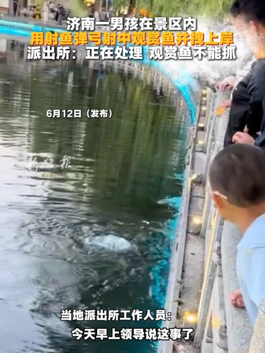 济南一男孩在景区内，用射鱼弹弓射中观赏鱼并拽上岸，派出所：正在处理、观赏鱼不能抓#济南#射