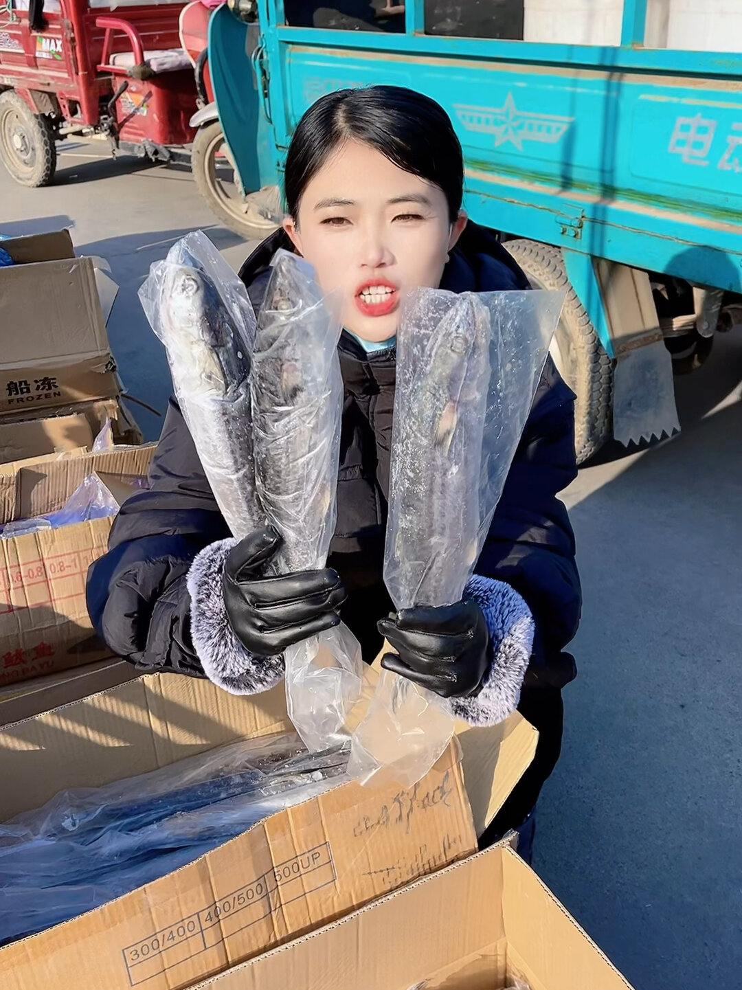 燕鲅 鲅鱼又名马鲛鱼