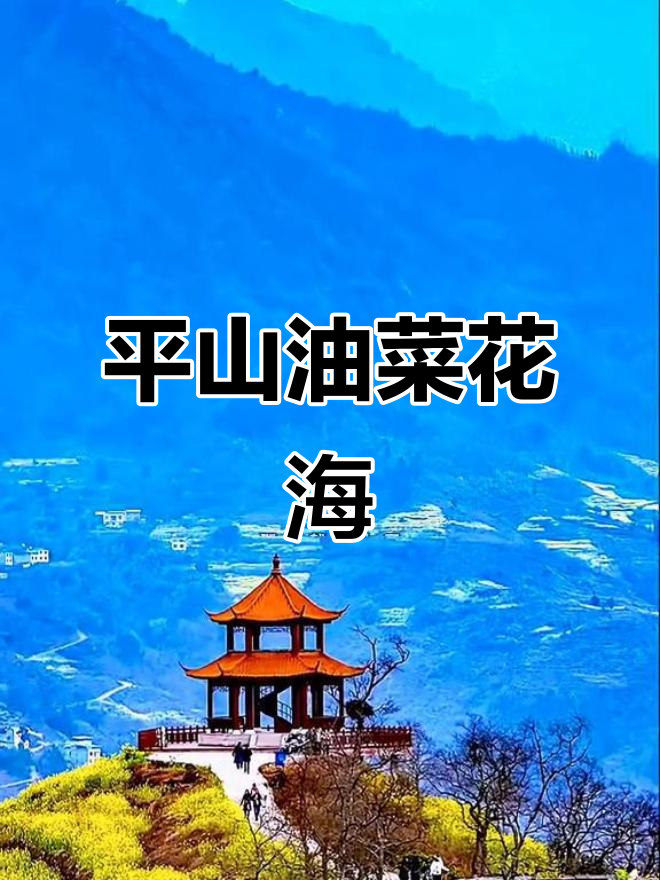 四川宜宾平山油菜花海:冬季盛开,金色罗壳惊艳登场