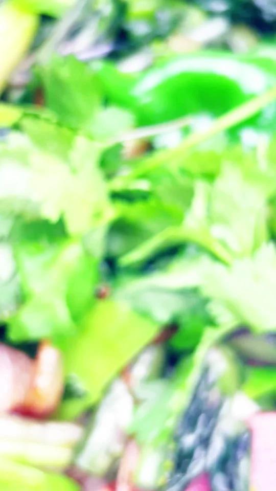 巨下饭的红菜苔炒腊肉