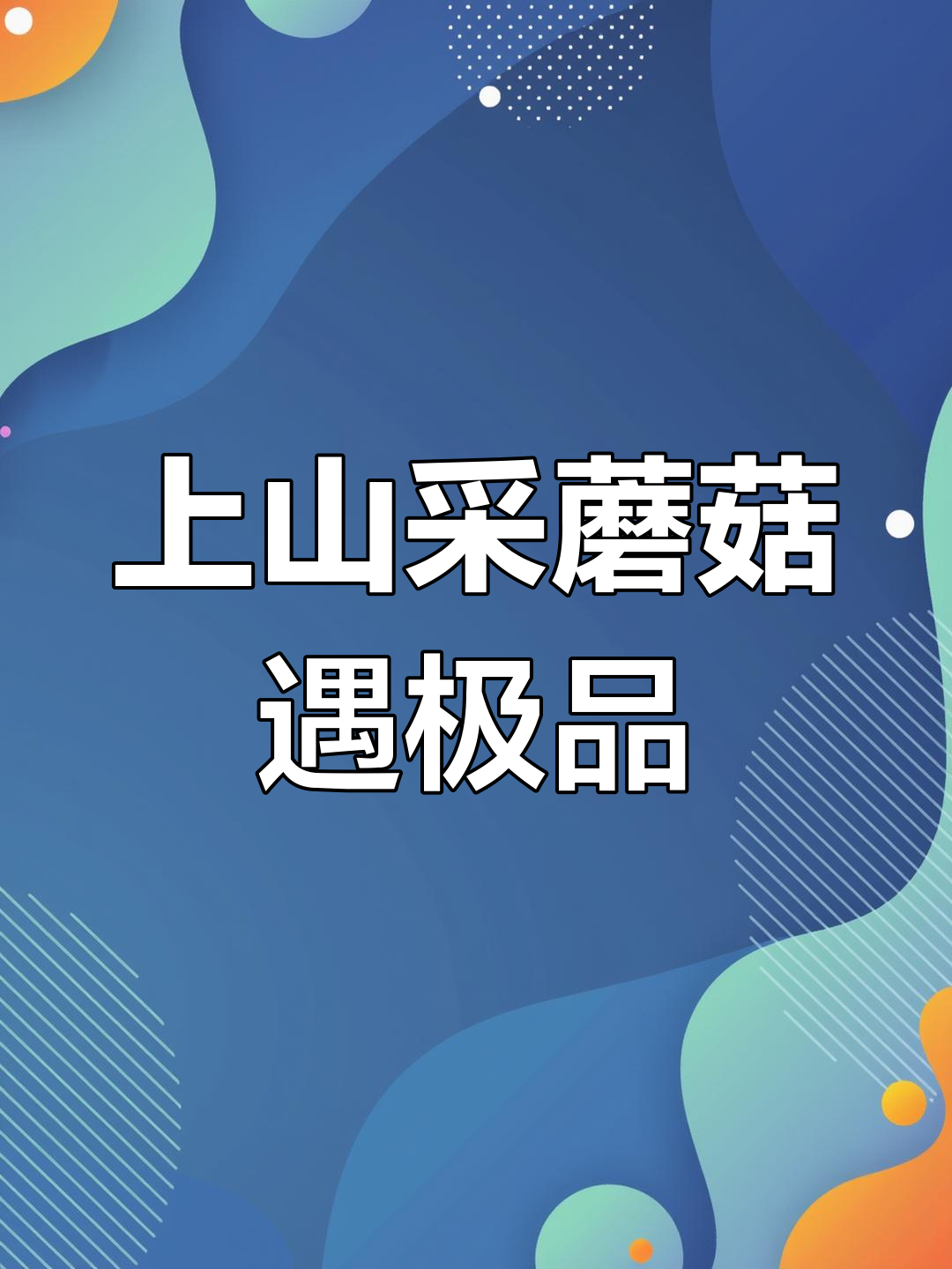 山上捡蘑菇,极品鸡纵菌现身!天气太热了,野生菌都藏起来了