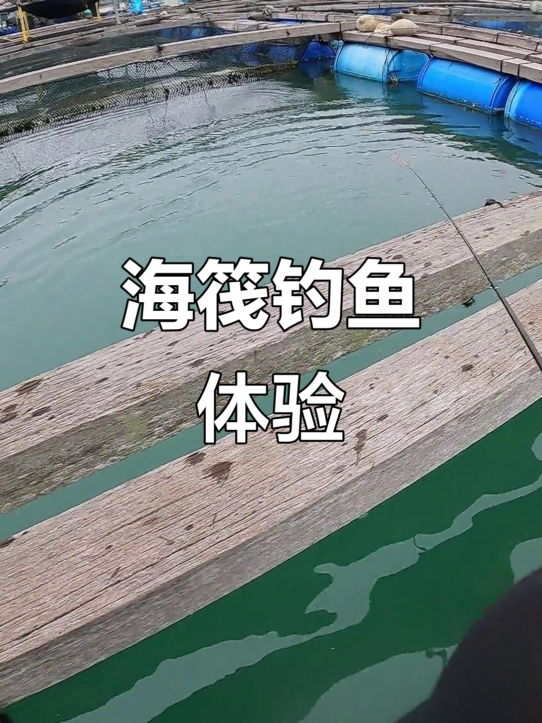鱼排筏钓技巧大揭秘:8克铅坠与均匀腰力让钓鱼更轻松