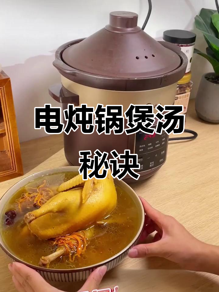 电炖锅煲汤,鲜美不腻,营养满分,口感绝佳