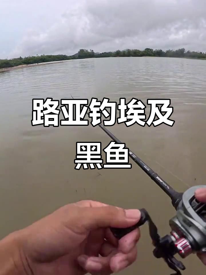 埃及鲶鱼钓法全解析:如何选择装备与技巧