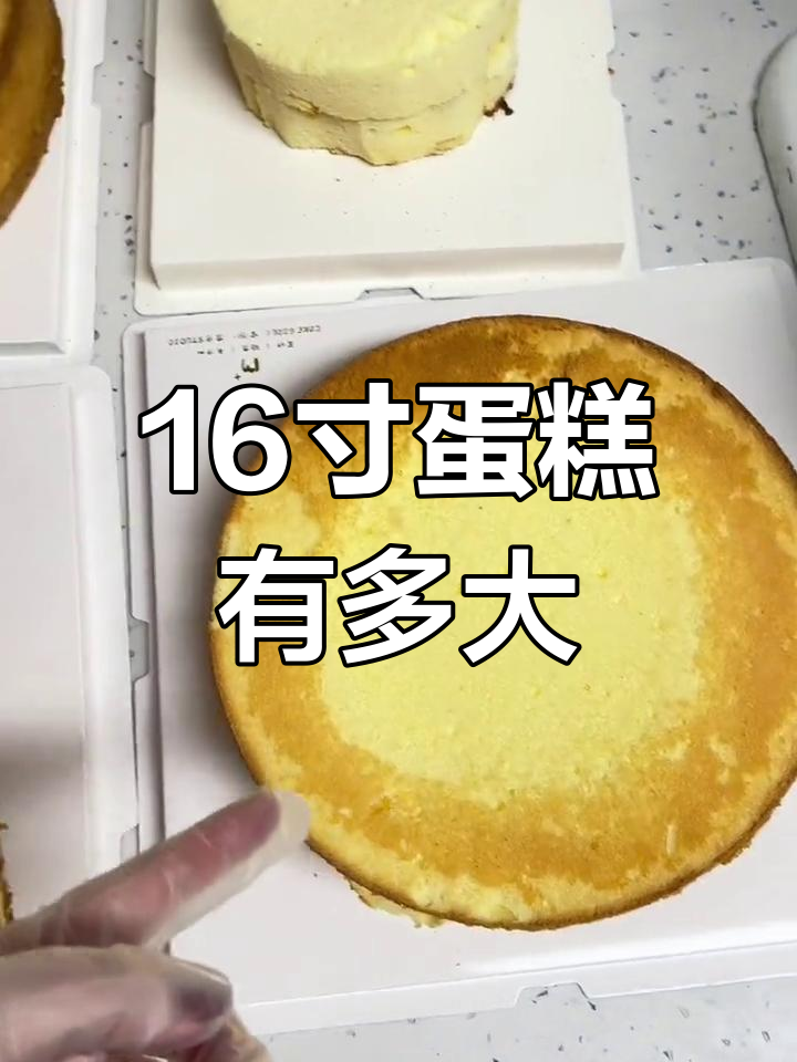 16寸蛋糕与小尺寸对比,差距有多大?