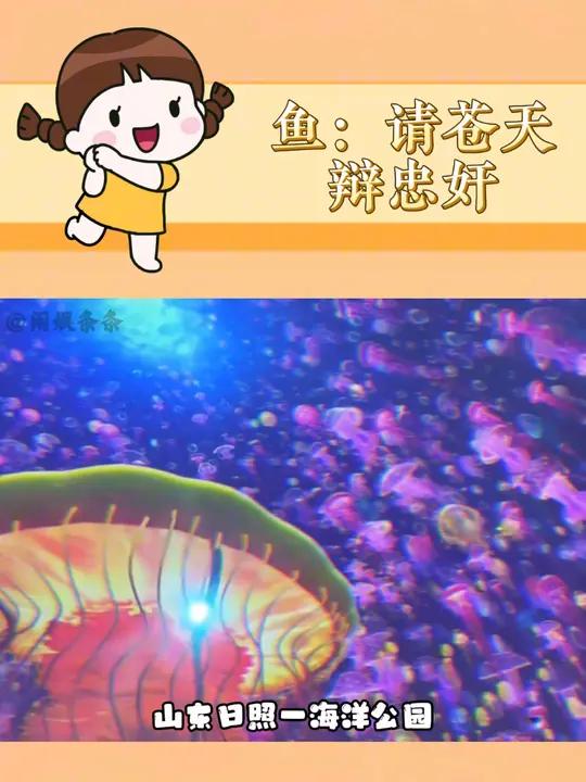 鱼:请苍天辩忠奸