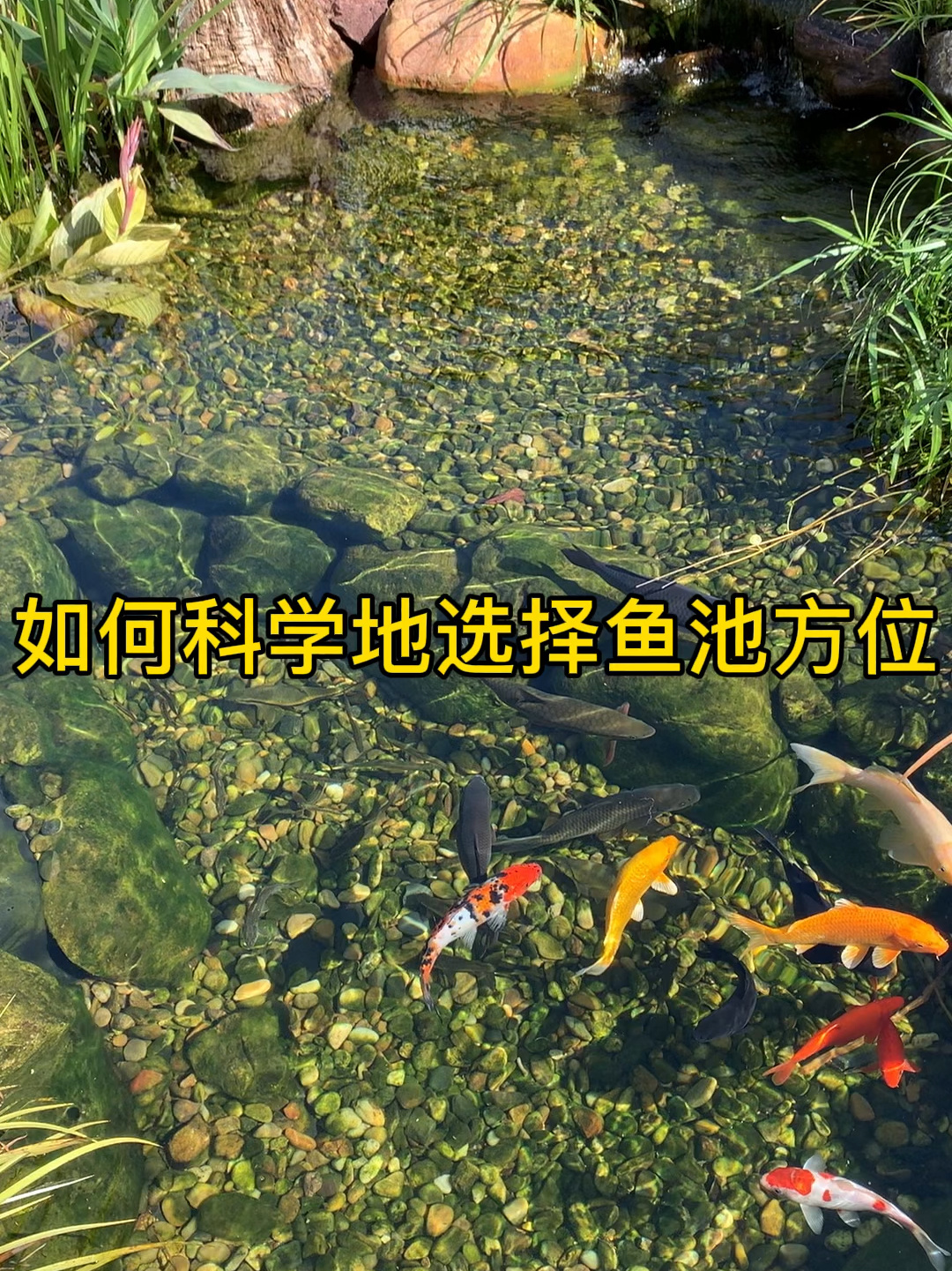 如何科学地选择鱼池方位