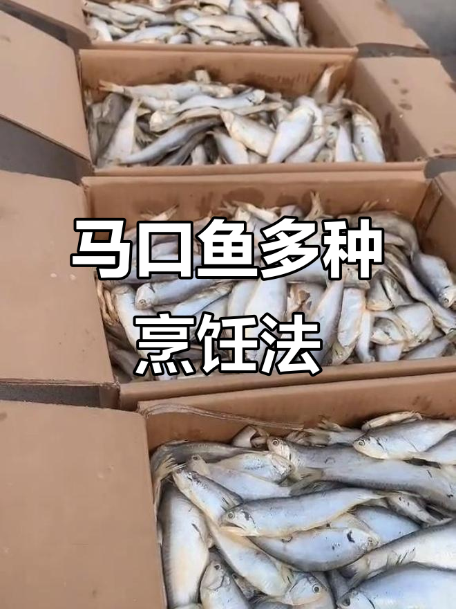 渤海湾马口鱼,煎炸蒸都香!油扣鱼的完美做法