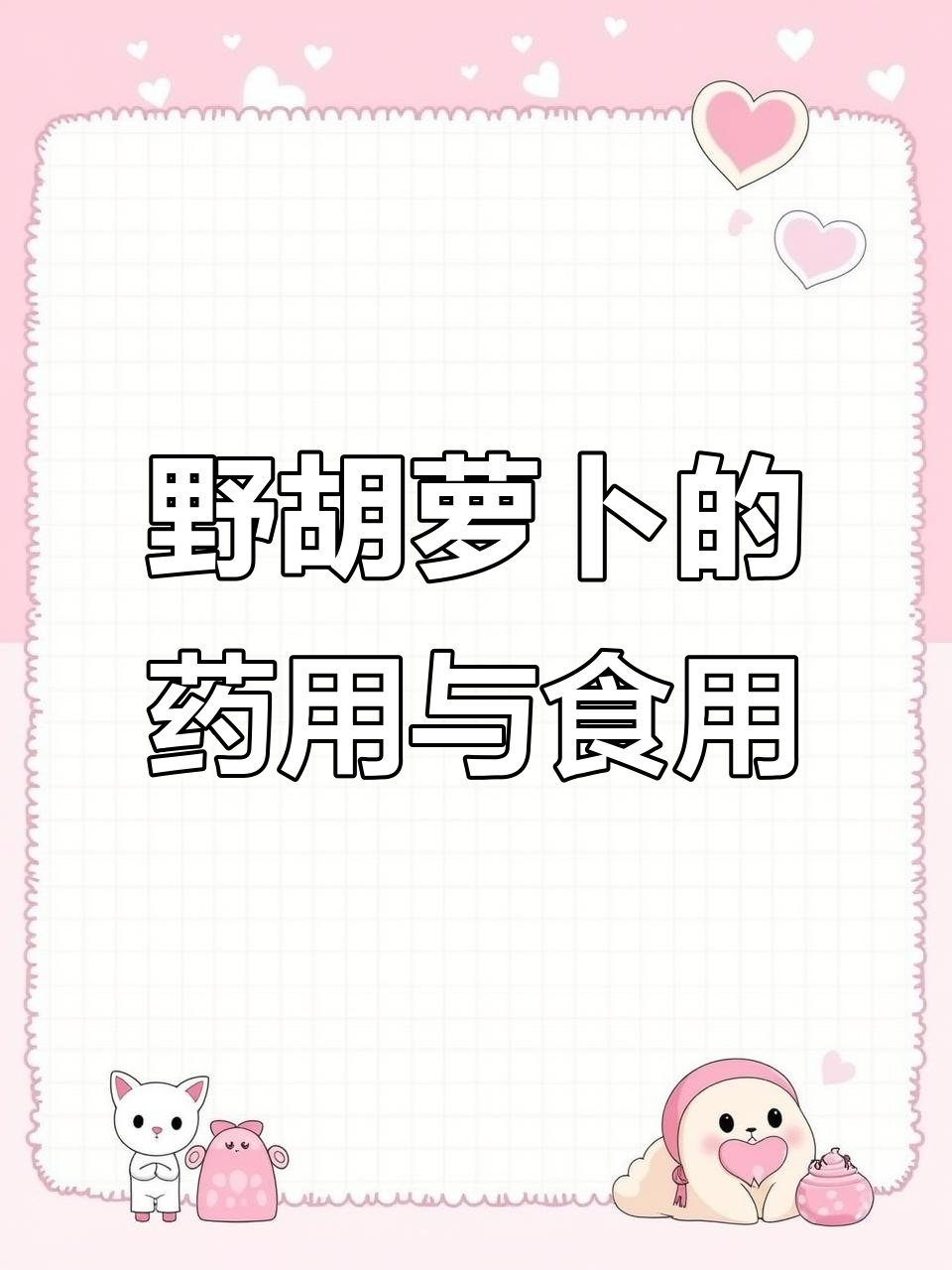 野胡萝卜:从药材到蔬菜的演变