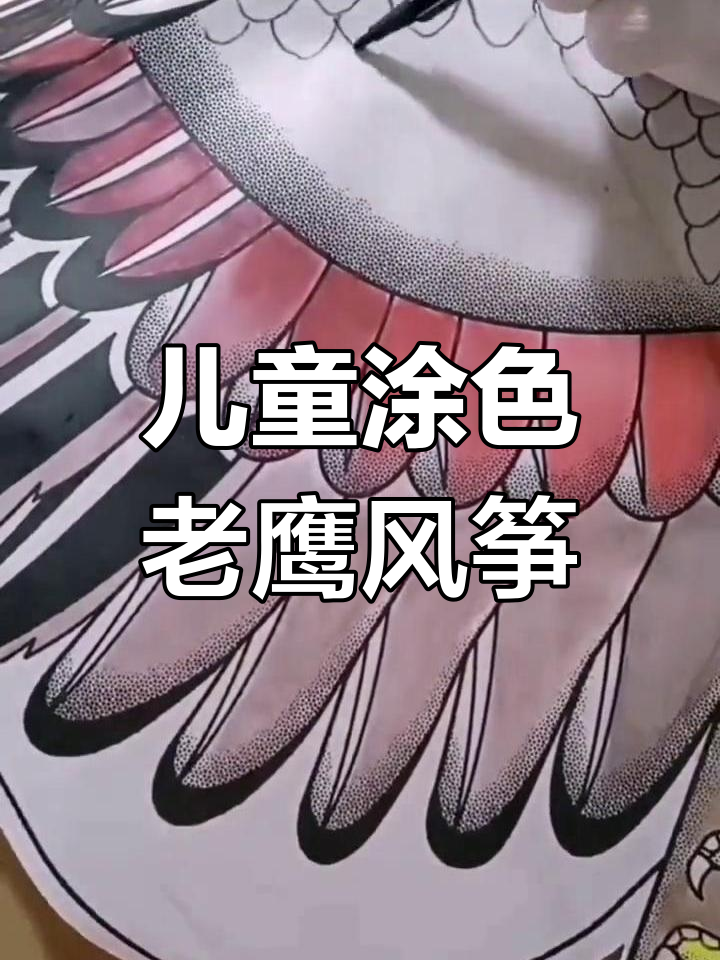 小朋友手绘老鹰风筝,带你了解猛禽的翅膀与特点