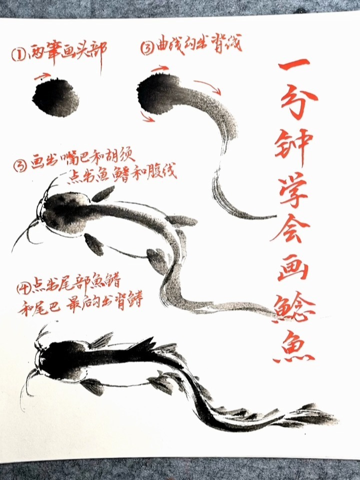 一分钟学会画鲶鱼/鲶鱼的画法解析