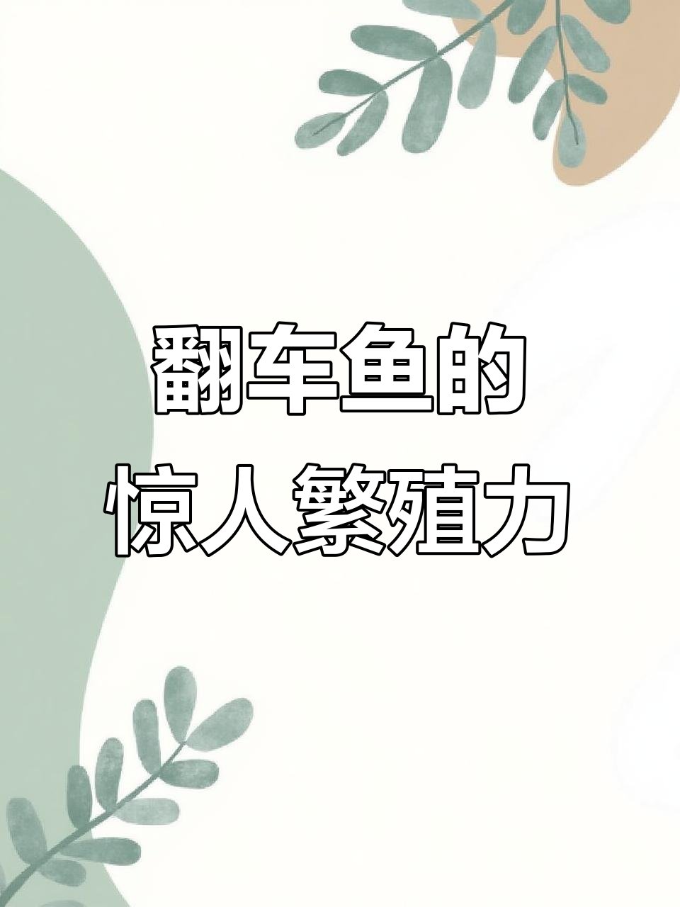 翻车鱼:海洋中产卵最多的巨型生物,一次能生三亿粒!