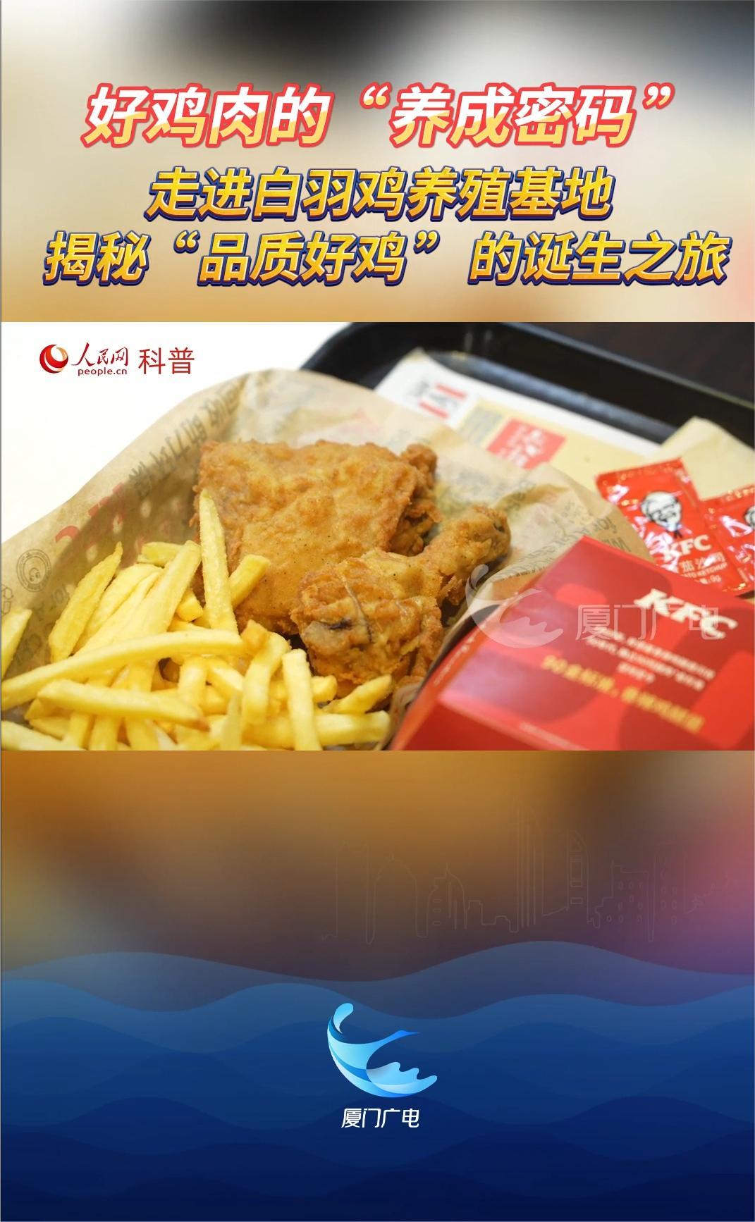 《科普真探》走进白羽鸡养殖基地，揭秘“品质好鸡”的诞生之旅