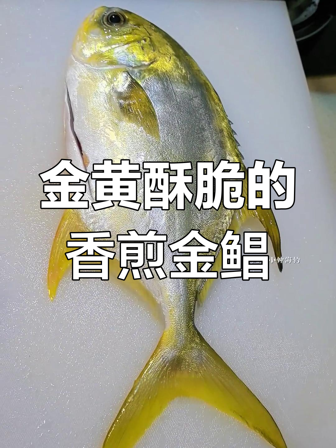 香煎野生金鲳鱼,外焦里嫩,简单又美味!