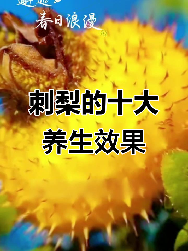 刺梨富含维C,提升免疫力,抗氧化、护肝、润肺多重功效