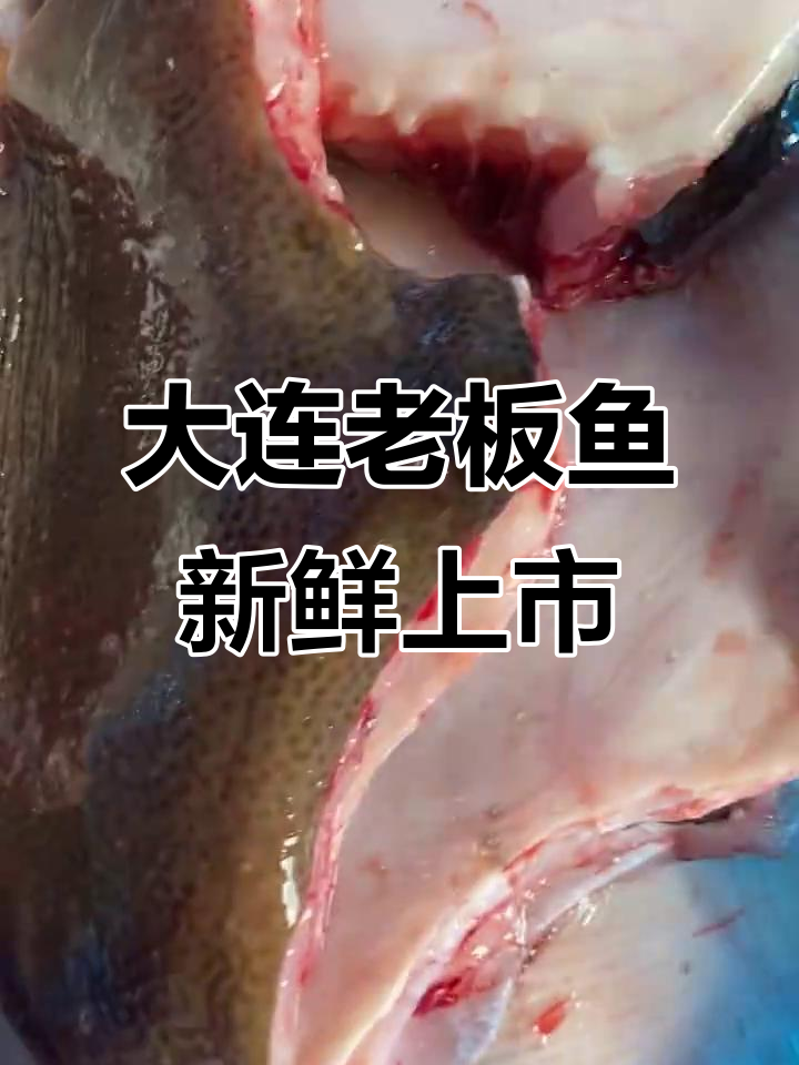 大连老板鱼,新鲜美味等你尝!黑猫冷藏加工完毕