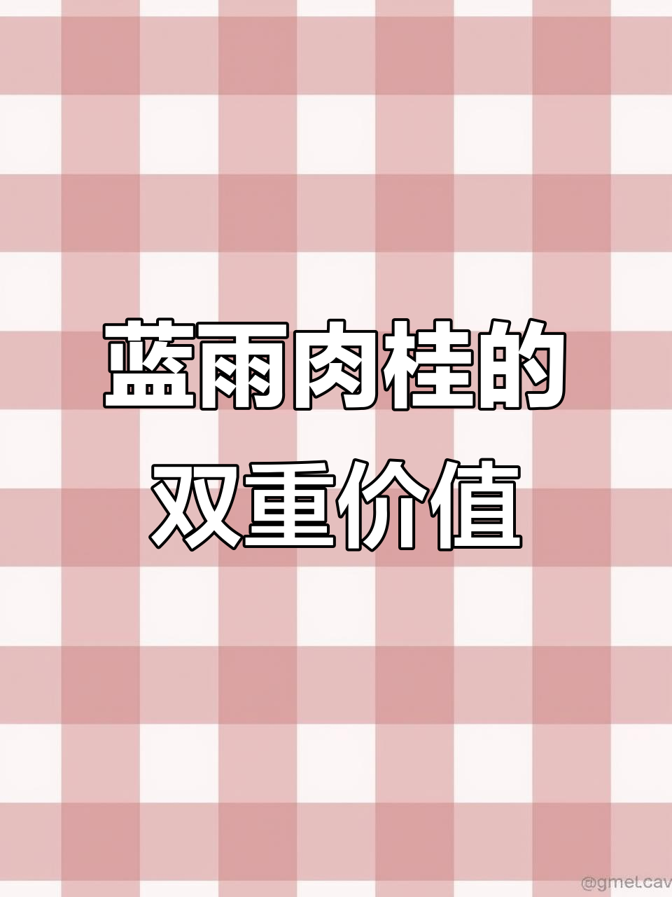 兰屿肉桂:既美观又药用,了解樟科珍稀树种