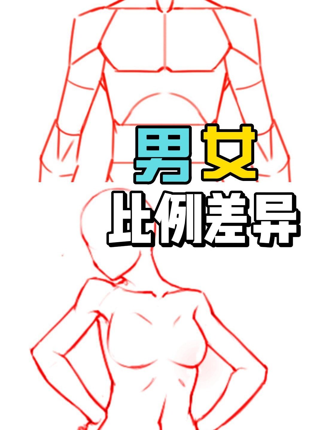 人体绘画教程之男女比例差异
