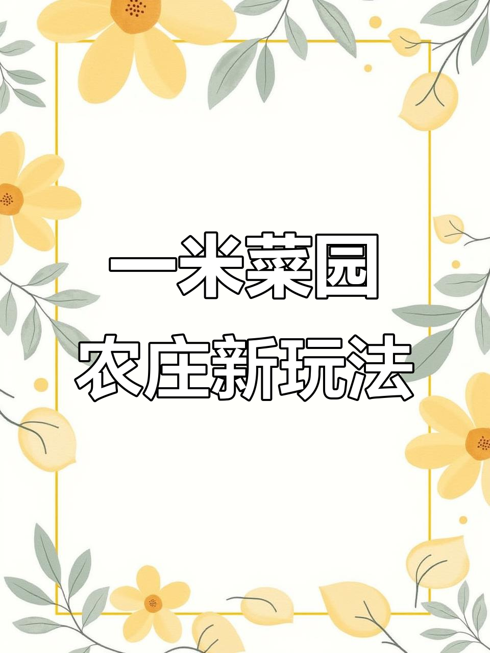 浙江衢州农场打造“一米菜园”,游客体验自给自足乐趣