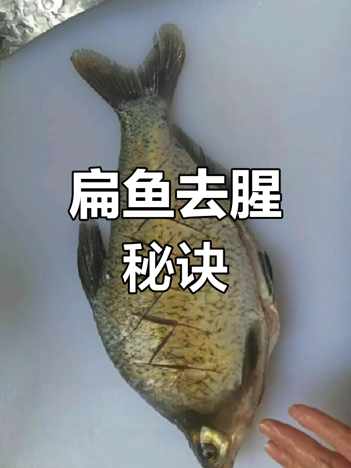 如何炖扁鱼不腥?家常做法大揭秘!