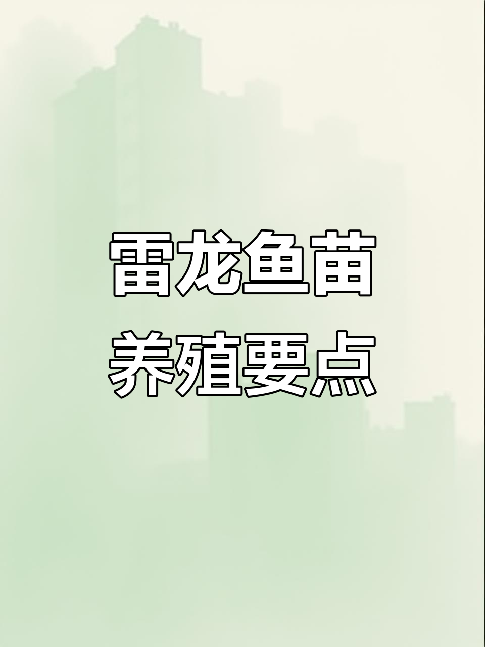 雷龙鱼苗饲养技巧:从喂食到水质管理全攻略
