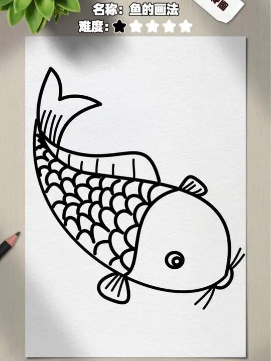 教你正确画鱼的方法?简单又好学!这也太棒了!