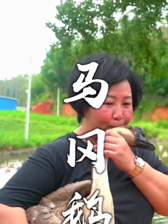 看完视频我在想……什么时候能实现吃整只烧鹅的自由！