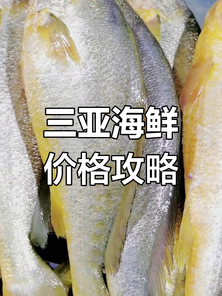 三亚海鲜市场价格大揭秘,超值鱼类推荐