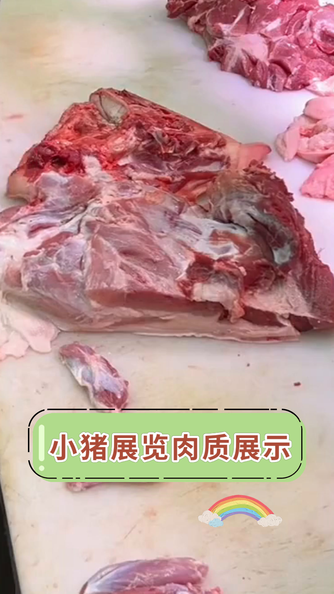 小猪展览肉质展示