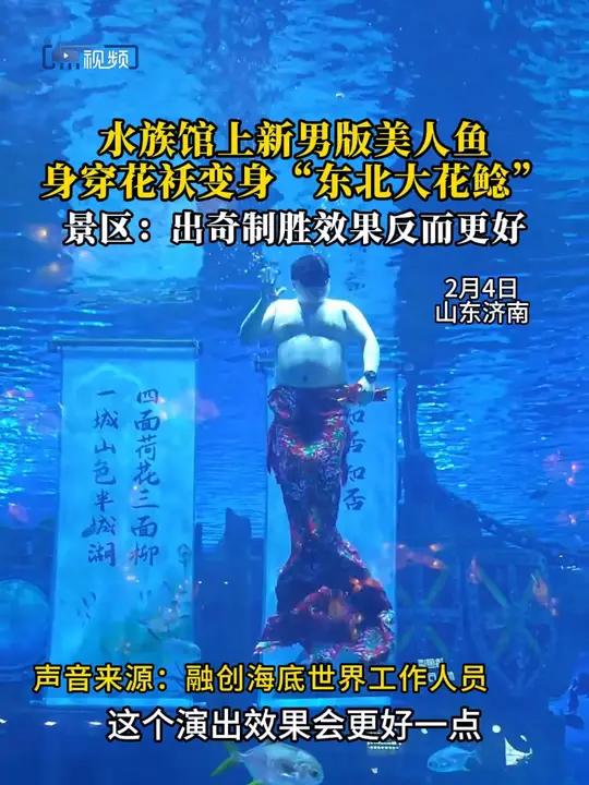 「水族馆上新男版美人鱼 身穿花袄变身“东北大花鲶”」2月4日,山东济南,水族馆上新男版美人